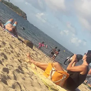 https://vacances-en-martinique-a-tartane-a-cote-de-la-plage.comcaribbean.com